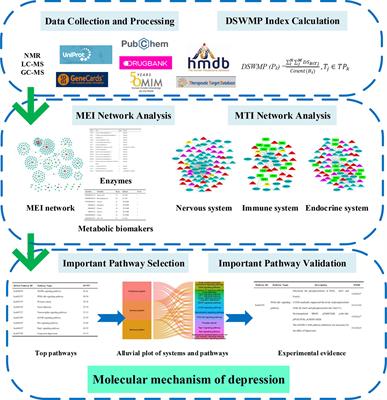 A Novel Network Pharmacology Strategy to Decode Metabolic Biomarkers and Targets Interactions for Depression